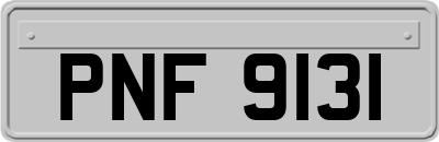 PNF9131