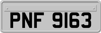 PNF9163