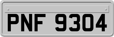 PNF9304