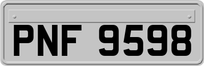 PNF9598