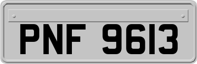 PNF9613