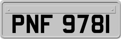 PNF9781