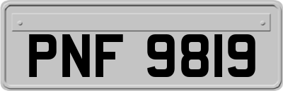 PNF9819