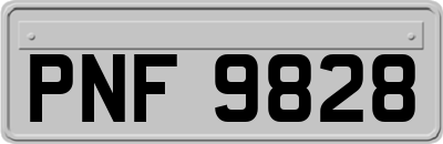 PNF9828