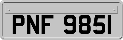 PNF9851