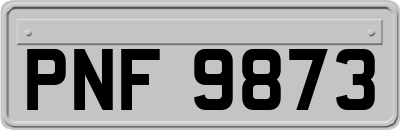PNF9873