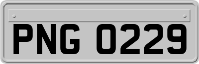 PNG0229