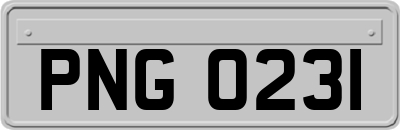 PNG0231