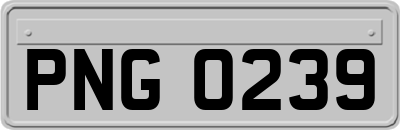 PNG0239
