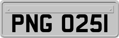 PNG0251