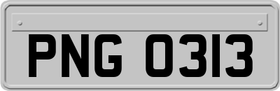 PNG0313
