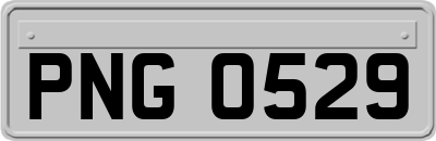 PNG0529