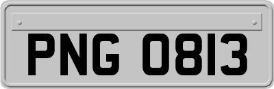 PNG0813