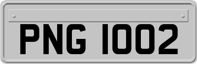 PNG1002