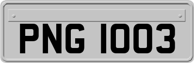 PNG1003