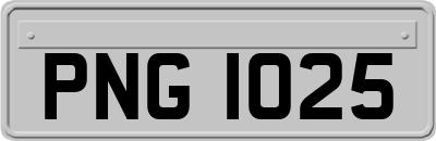 PNG1025