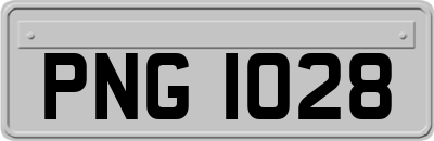 PNG1028