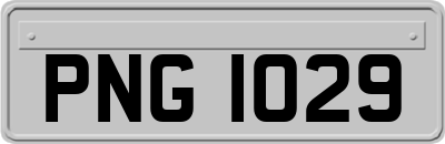 PNG1029