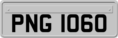 PNG1060