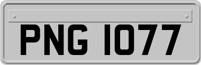 PNG1077