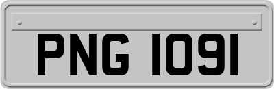 PNG1091