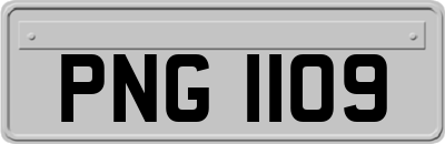 PNG1109