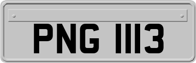 PNG1113