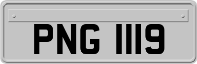 PNG1119