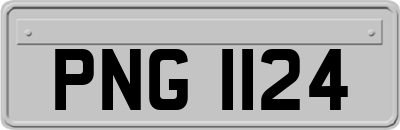 PNG1124