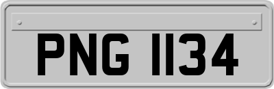 PNG1134