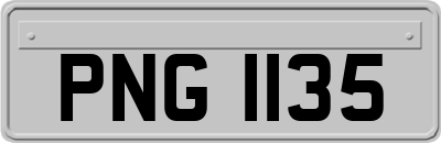 PNG1135