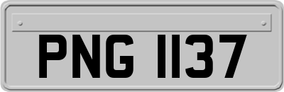 PNG1137