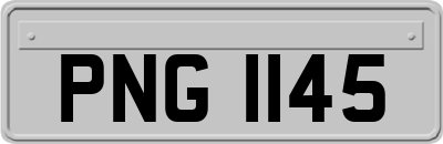 PNG1145