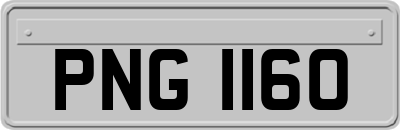 PNG1160