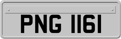 PNG1161