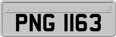 PNG1163