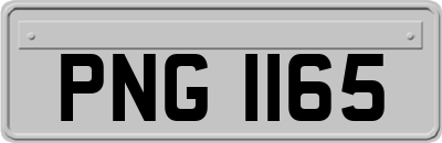PNG1165