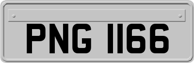 PNG1166