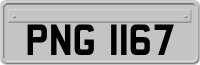 PNG1167