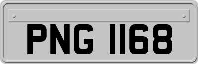 PNG1168