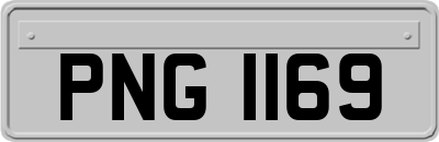 PNG1169