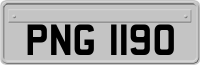 PNG1190