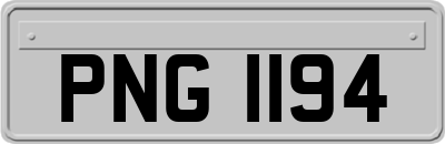 PNG1194