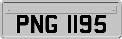 PNG1195