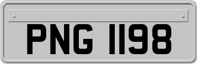 PNG1198