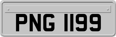 PNG1199