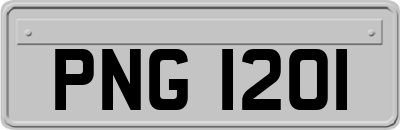 PNG1201