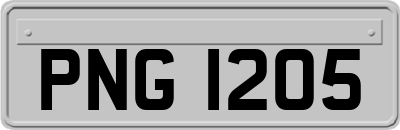 PNG1205