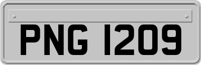 PNG1209
