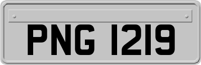 PNG1219